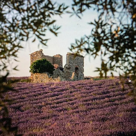 La Cigale Du Desire Sejour Δωμάτια σε οικογενειακή κατοικία *
